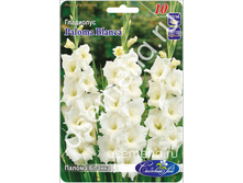 ������ ������.jpg