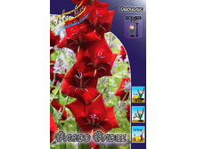 10,18���. ��������� ����� ����(���������� ������ ������ ���������� �� 9 ��.).jpg