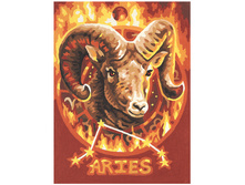 9390672 ����� ������� ���� ���� 776 ���.jpg