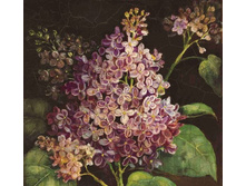 AHP4545-4.jpg
