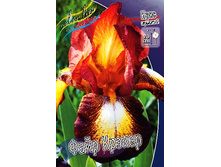 95,3���. ���� ���������� ���� ������(�������� ���� �� 2 ��., ����������� ����� 1��.).jpg