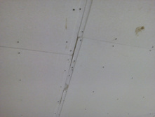 IMG 20151018 110738.jpg