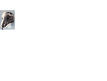 ���������7.png