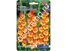 ��������� �������� ����.jpg