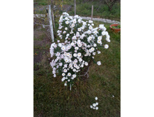 20151006 063306.jpg