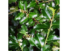 139���. ����� ������� ��� �����.jpg