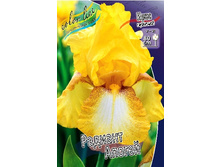 95,3���. ���� ���������� ������� ������(�������� ���� �� 2 ��., ����������� ����� 1��.).jpg