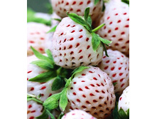 158���. ��������� ������� ��������� ���� ����.jpg