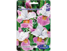 ���� �������� ����.jpg