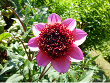 �� ������