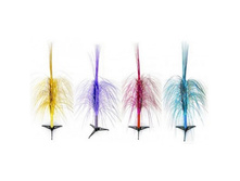 ���� �� ������� 1,5�