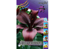 27,09���. ����� ���������(�������� ���� �� 7 ��., ����������� ����� 1��.).jpg