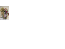 ����������6.png