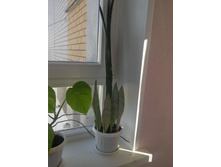 20151005 113437 HDR.jpg