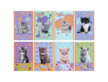 ������� �6 32�. �� ������� Sweet Kitty 5,86.jpg