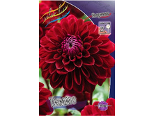 83,9���. �������� �����(�������� ���� �� 1 ��., ����������� ����� 1��.).jpg