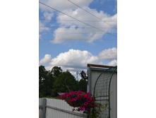 NEW ������� Shock Wave Deep Purple