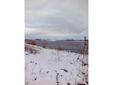 IMG 20151011 095851.jpg