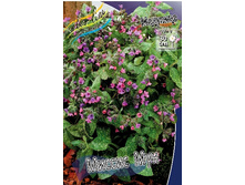 83,8���. �������� ������ ���(�������� ���� �� 1 ��., ����������� ����� 1��.).jpg