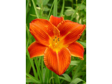 118,6���. �������� ������ ����(�������� ���� �� 1 ��., ����������� ����� 1��.)���16.jpg