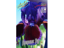 72,1���. ���� (pumila) ������ ��(�������� ���� �� 2 ��., ����������� ����� 1��.).jpg