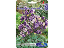 ����� ���� ����-�������.jpg