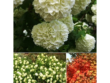 152���. ������ ������������ ������.jpg