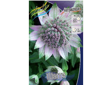 141,9���. ��������� �����(�������� ���� �� 1 ��., ����������� ����� 1��.).jpg