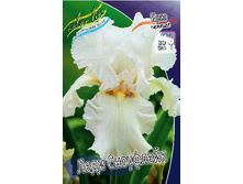 95,3���. ���� ���������� ���� ���������(�������� ���� �� 2 ��., ����������� ����� 1��.).jpg