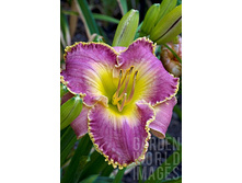 221,5���. �������� ������ ������(�������� ���� �� 1 ��., ����������� ����� 1��.)���16.jpg