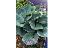 163,4���. ����� ��� ���(�������� ���� �� 1 ��., ����������� ����� 1��.).jpg