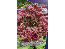 60,5���. ��������� �������������(�������� ���� �� 2 ��., ����������� ����� 1��.).jpg