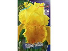 95,3���. ���� ���������� ���� ���(�������� ���� �� 2 ��., ����������� ����� 1��.).jpg