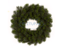 ��005095 ����� �� ������������� ���� ������� 46 �� (2 ��. � ���.)(Mbox 12 ��.) 1457�.png