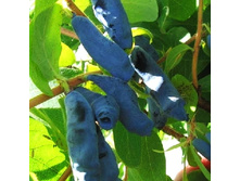 192���. ��������� ���������� �����.jpg