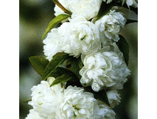 162���. ����� ���������� ����� �����.jpg