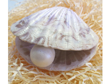 ������� No18