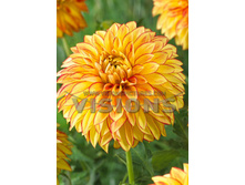 83,9���. �������� ���� �������(�������� ���� �� 1 ��., ����������� ����� 1��.)���16.jpg