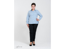 ������ 2504116.jpg