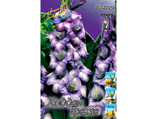 8,18���. ��������� ������ �����(���������� ������ ������ ���������� �� 8 ��.).jpg