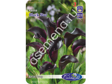 ���� ����.jpg