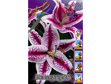 38,26���. ����� ����������(�������� ���� �� 5 ��., ����������� ����� 1��.).jpg