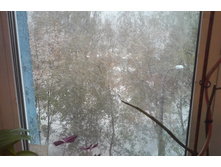 9 �������. ����� ���� ���� ���� ����