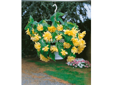 ������� ��������� ������ ֣���� 10�� 17.jpg