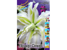 59���. ����� ����� ����(�������� ���� �� 5 ��., ����������� ����� 1��.).jpg