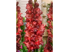 9,83���. ��������� �������(���������� ������ ������ ���������� �� 8 ��.)���15.jpg