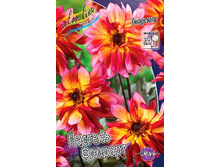 82���. �������� ������� �������(�������� ���� �� 1 ��., ����������� ����� 1��.).jpg