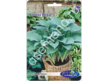 �����	������ �����	Krossa Regal