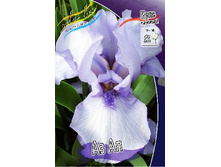 95,3���. ���� ���������� �� ��(�������� ���� �� 2 ��., ����������� ����� 1��.).jpg