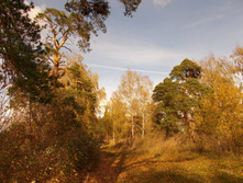 2015-10-04 12-41-52.jpg